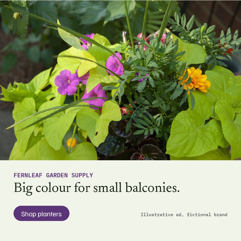 Ad B for Fernleaf Garden Supply (fictional): photo of a planter of lime-green sweet potato vine with magenta flowers and orange marigolds, headline Big colour for small balconies, button Shop planters.